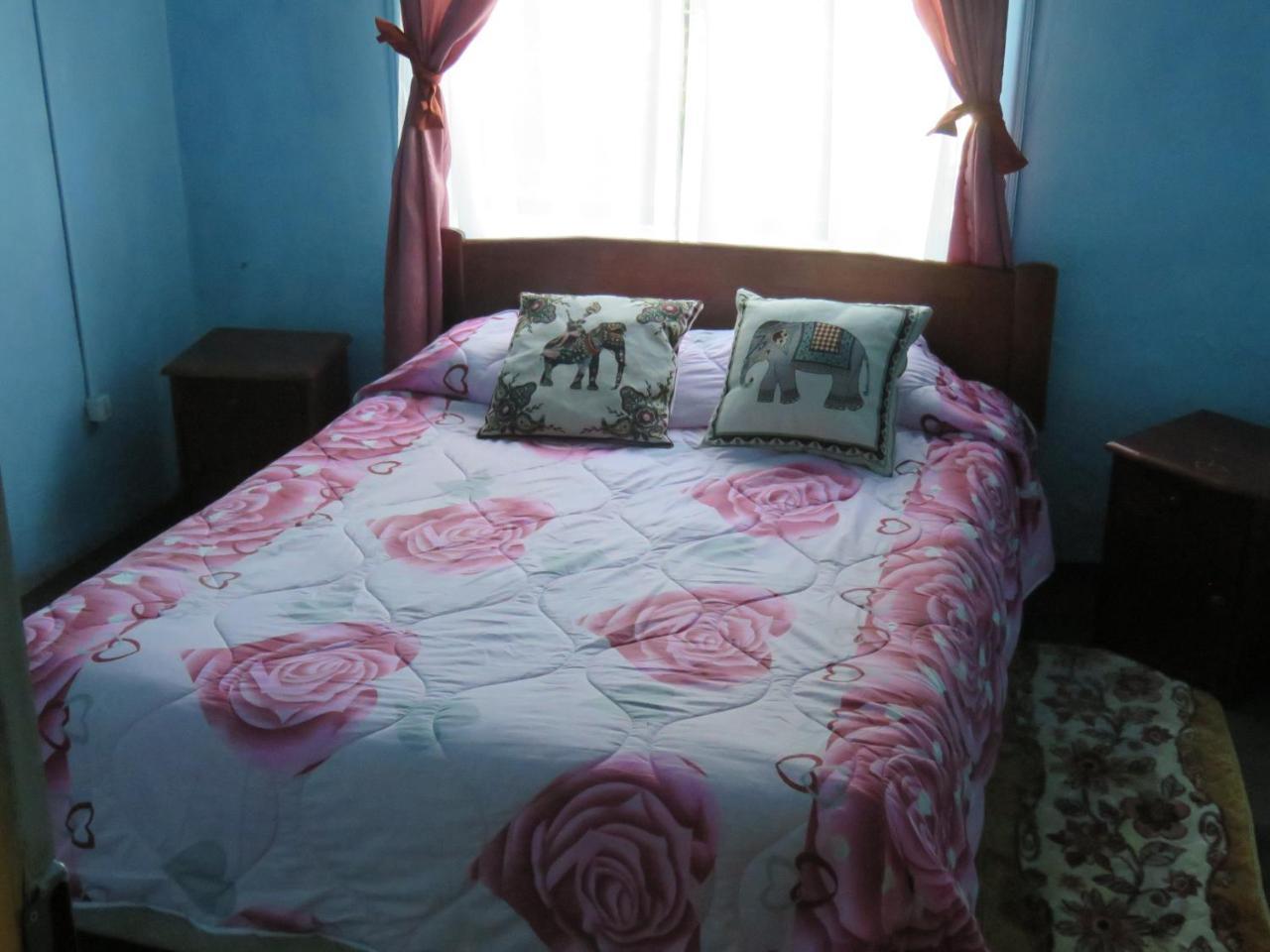 Hostal Y Cabanas Peumayen Puerto Guadal Eksteriør billede